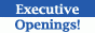 Executive Search Online  